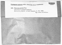 Image Associated With the Occurence